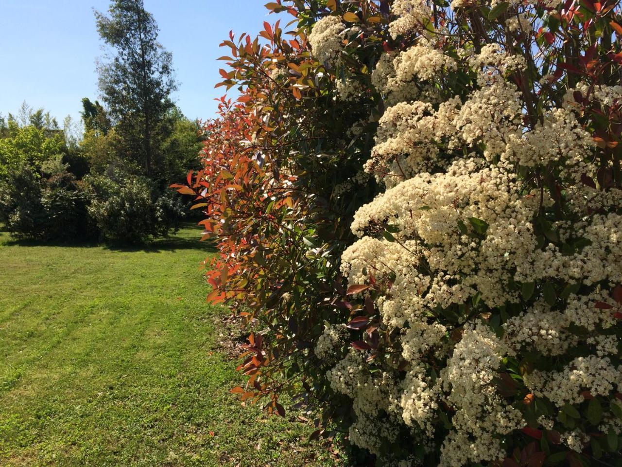 La Villa Bolero Saint-Cyr-sur-Loire Kültér fotó